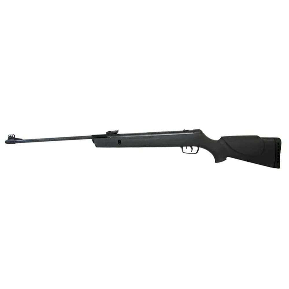 CARABINA GAMO BIG CAT 1000-E IGT POLÍMERO 5,5 MM